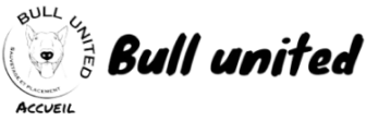 Bull United