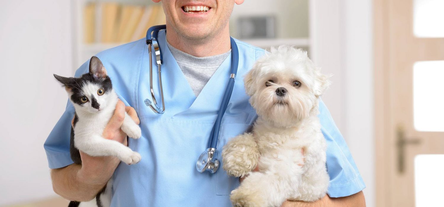 New Advancements in the Veterinary Industry
