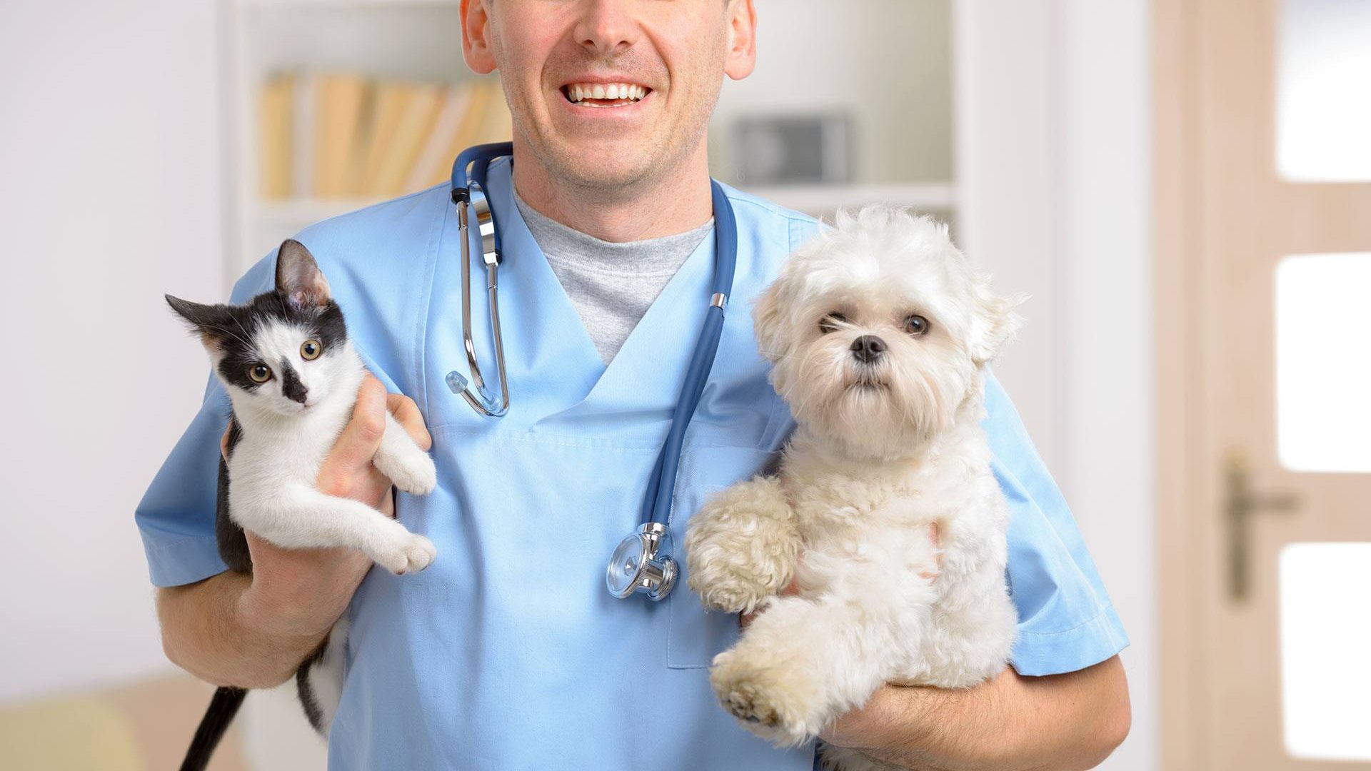 New Advancements in the Veterinary Industry