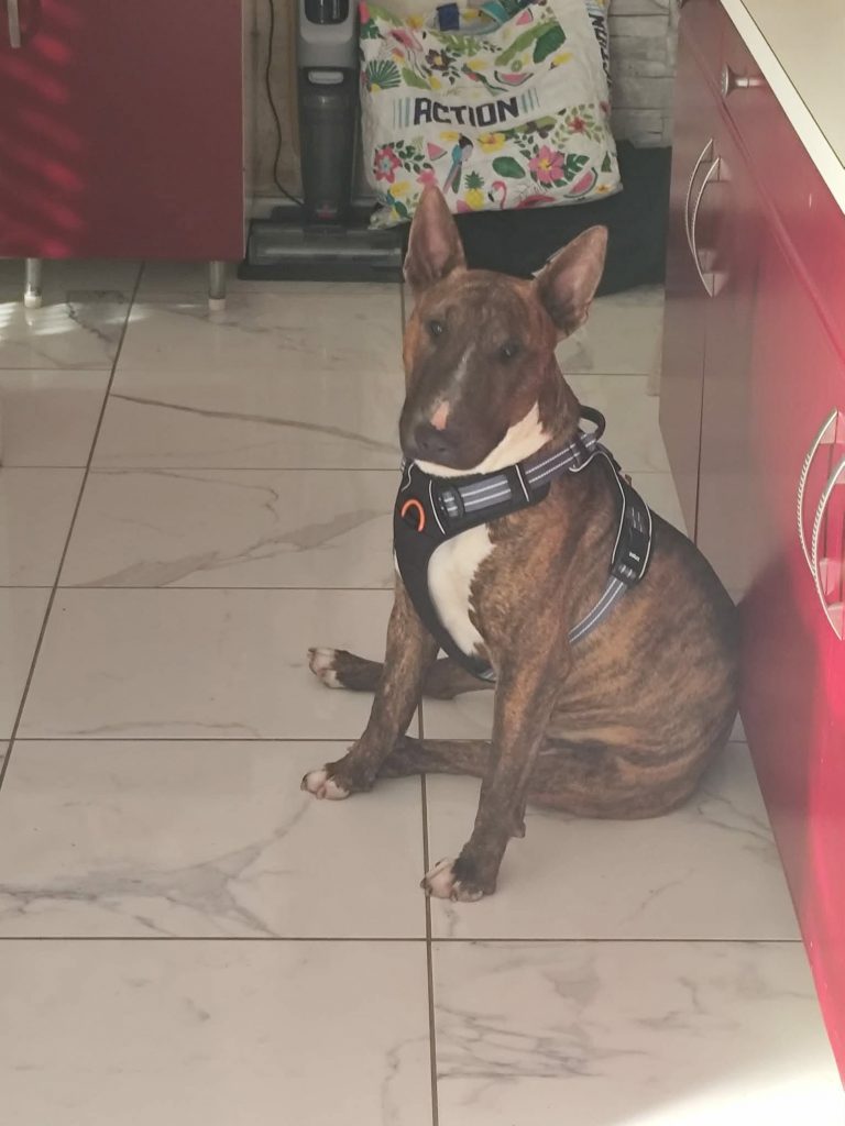 Kayzer