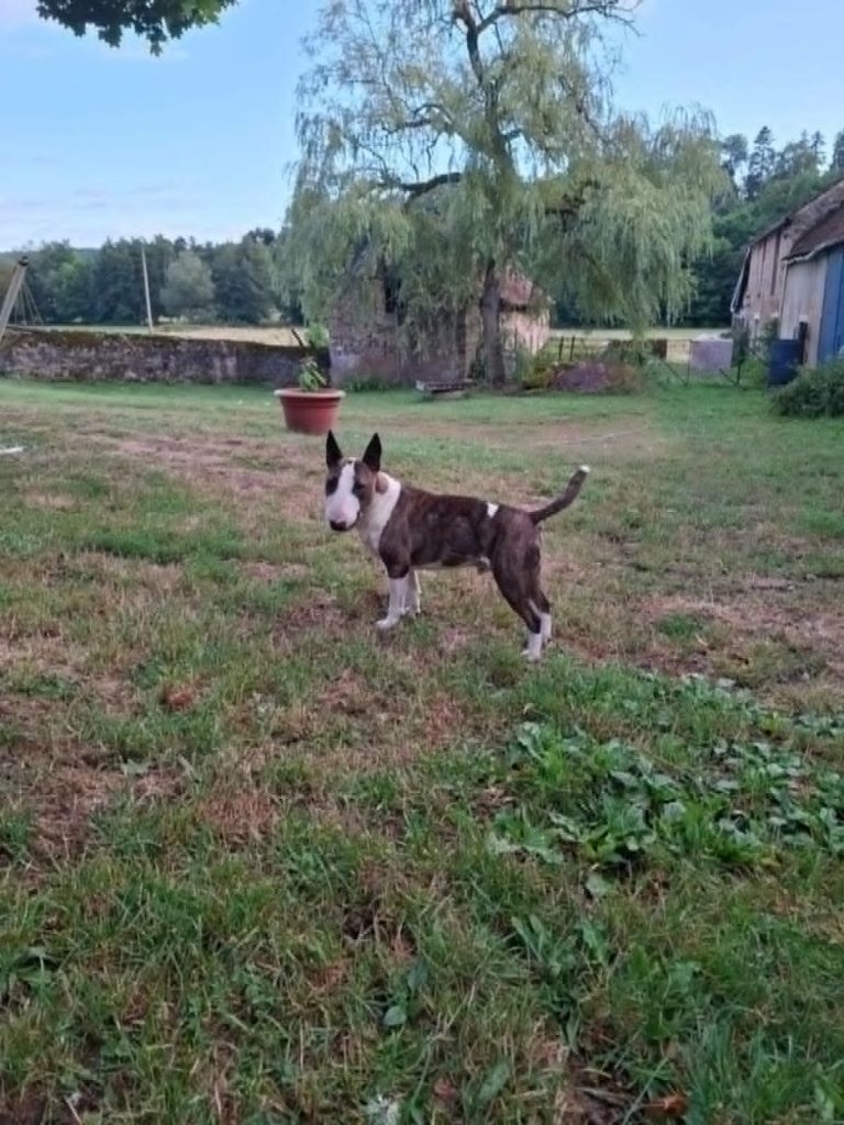 Paco
