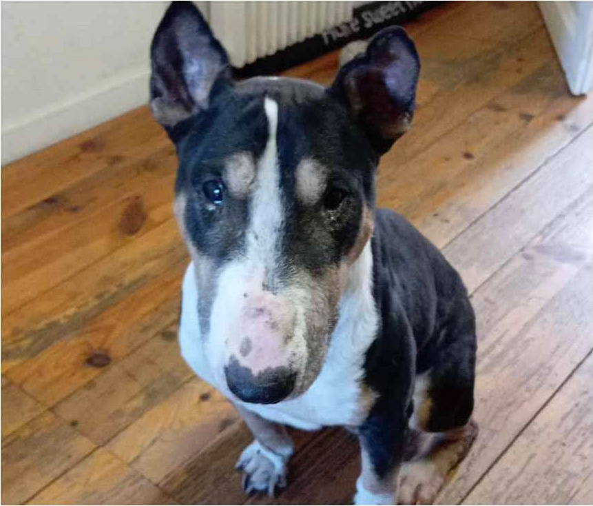Daryl
