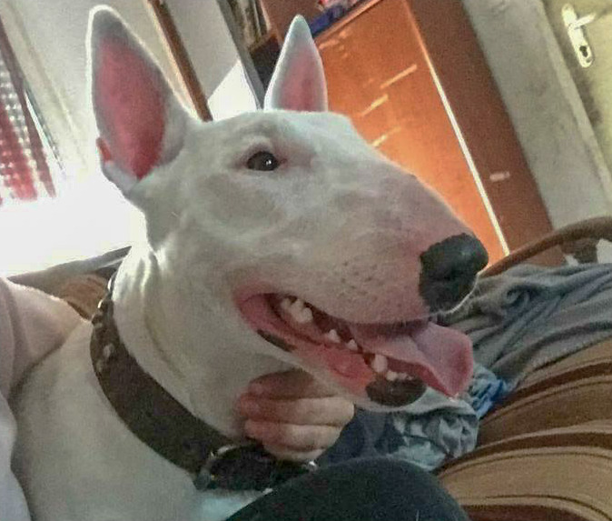 Mya