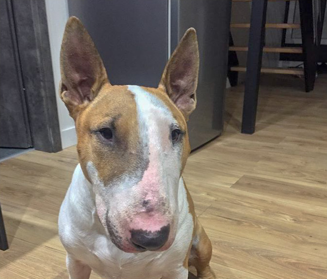 Tyson