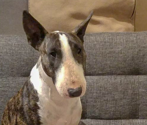 Kaya